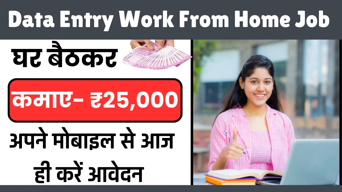 data entry work from home job 2024